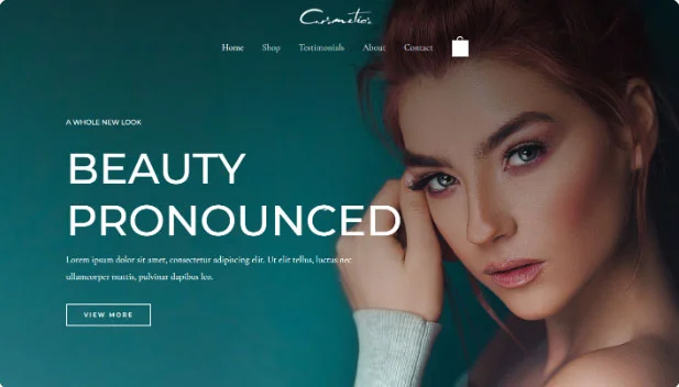 home_portafolio_paginas_web_wordpress_beatifu