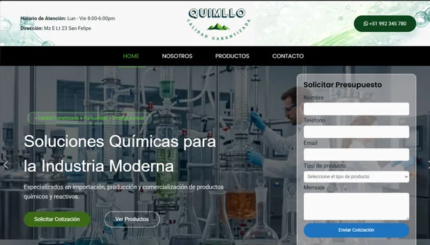 home_portafolio_paginas_web_wordpress_biomosperu